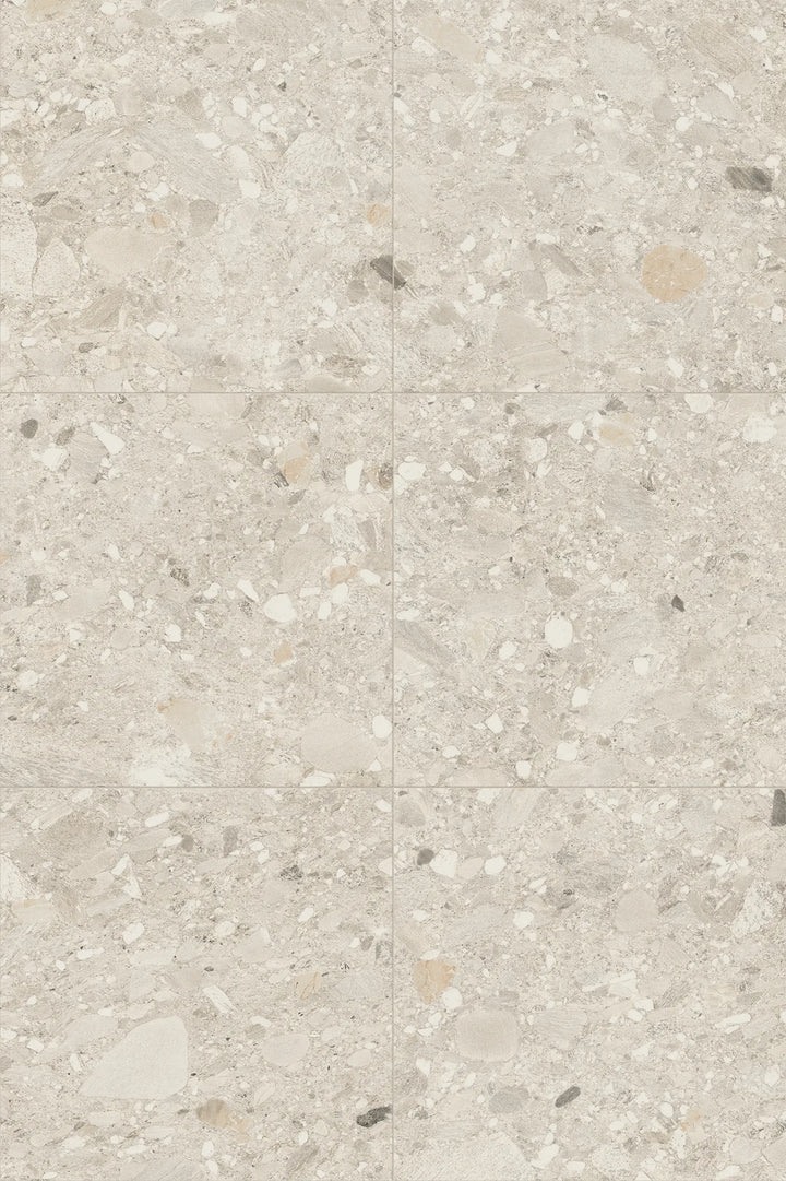 Ceppo — Ceppo Avorio