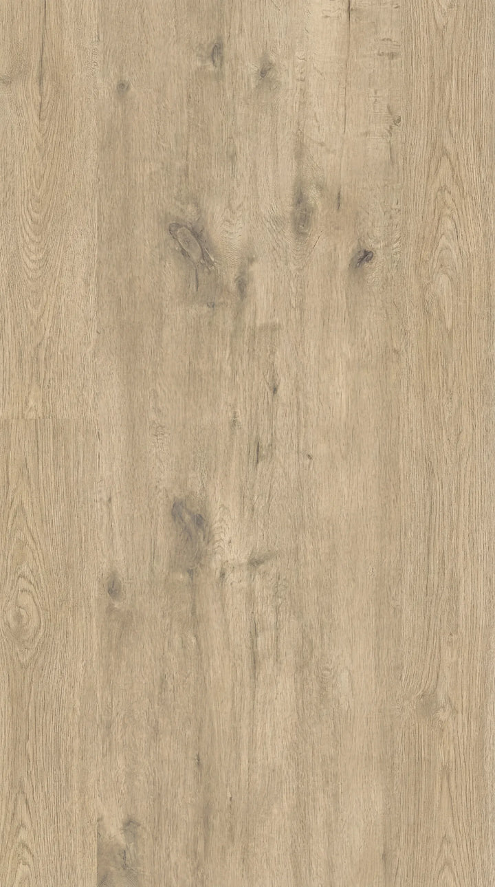 Wood Look Porcelain Paver — Naturale
