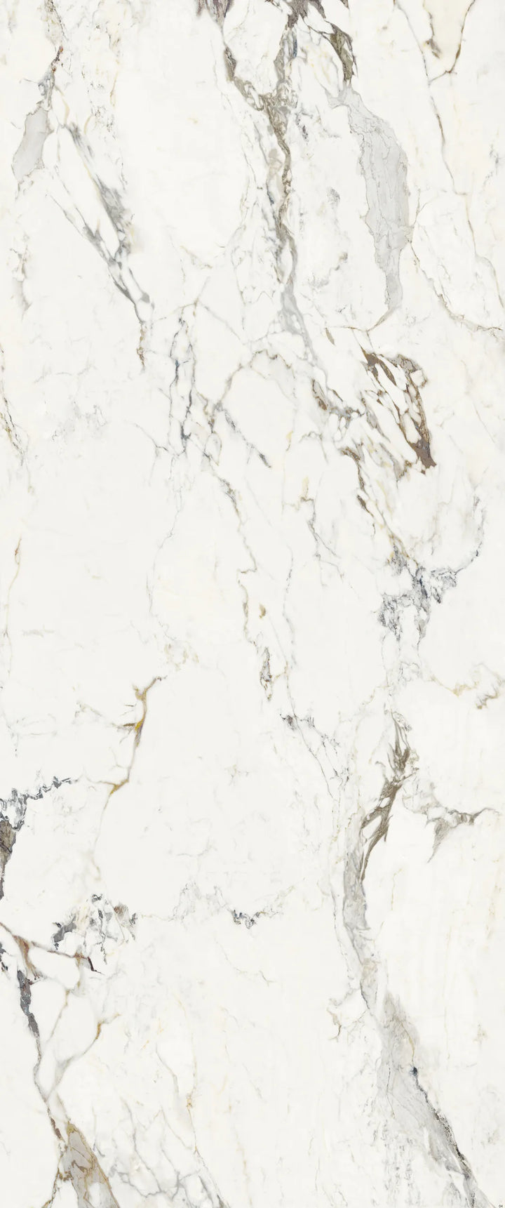 Supreme Capraia — Polished
