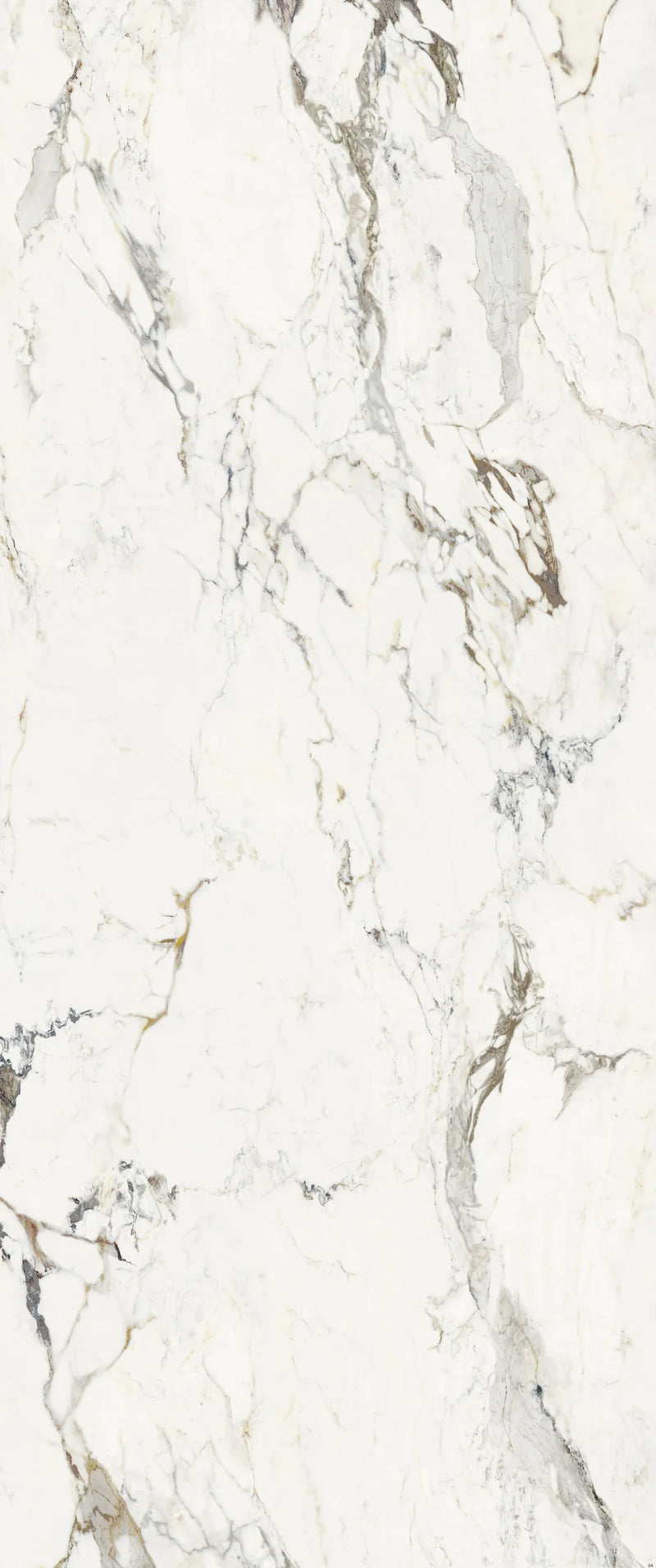 Supreme Capraia — Polished