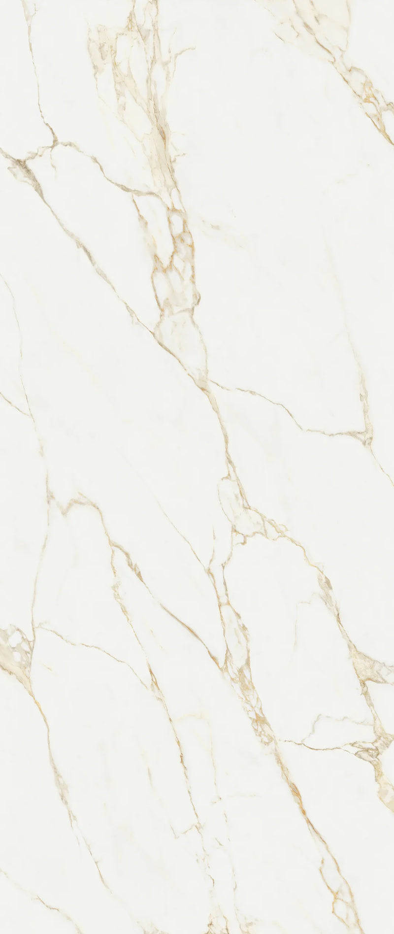 Calacatta Gold — 4x12