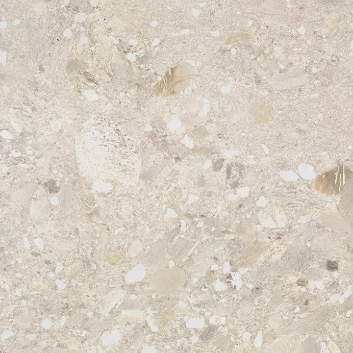 Ceppo — Ceppo Avorio