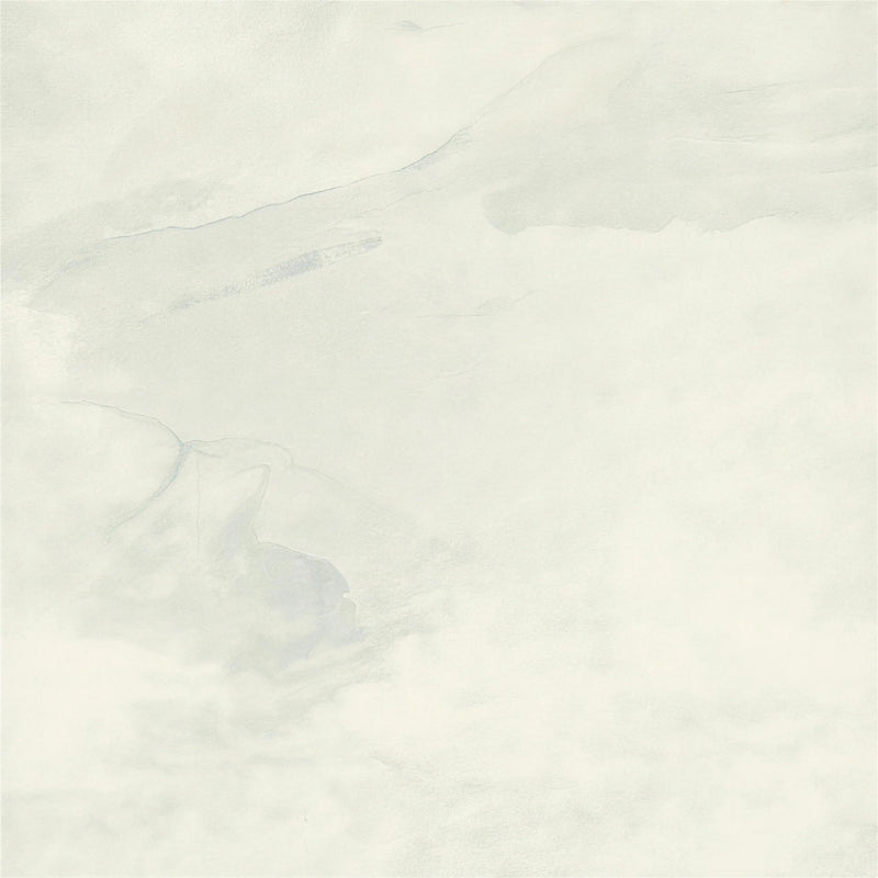 De White Rectified