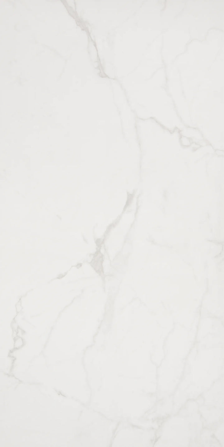 Starline — 24x48 Nuevo Calacatta