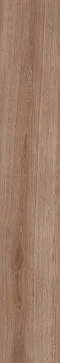 Canyon Oudh